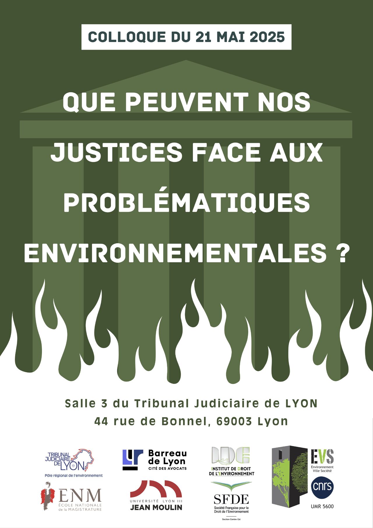 Que peuvent nos justices face aux problématiques environnementales ? 