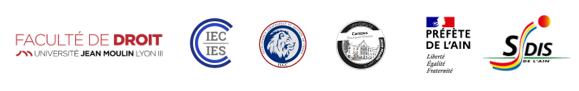 Bandeau logo résilience