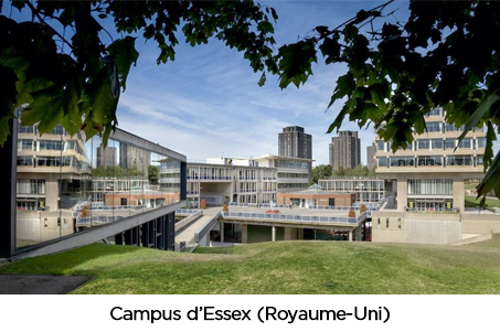 Campus d'Essex