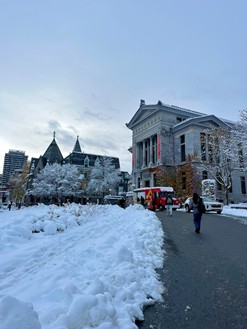 Campus universitaire de McGill, déc. 2025