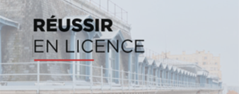 Dispositifs réussir en licence - Université Lyon 3 - faculté de droit