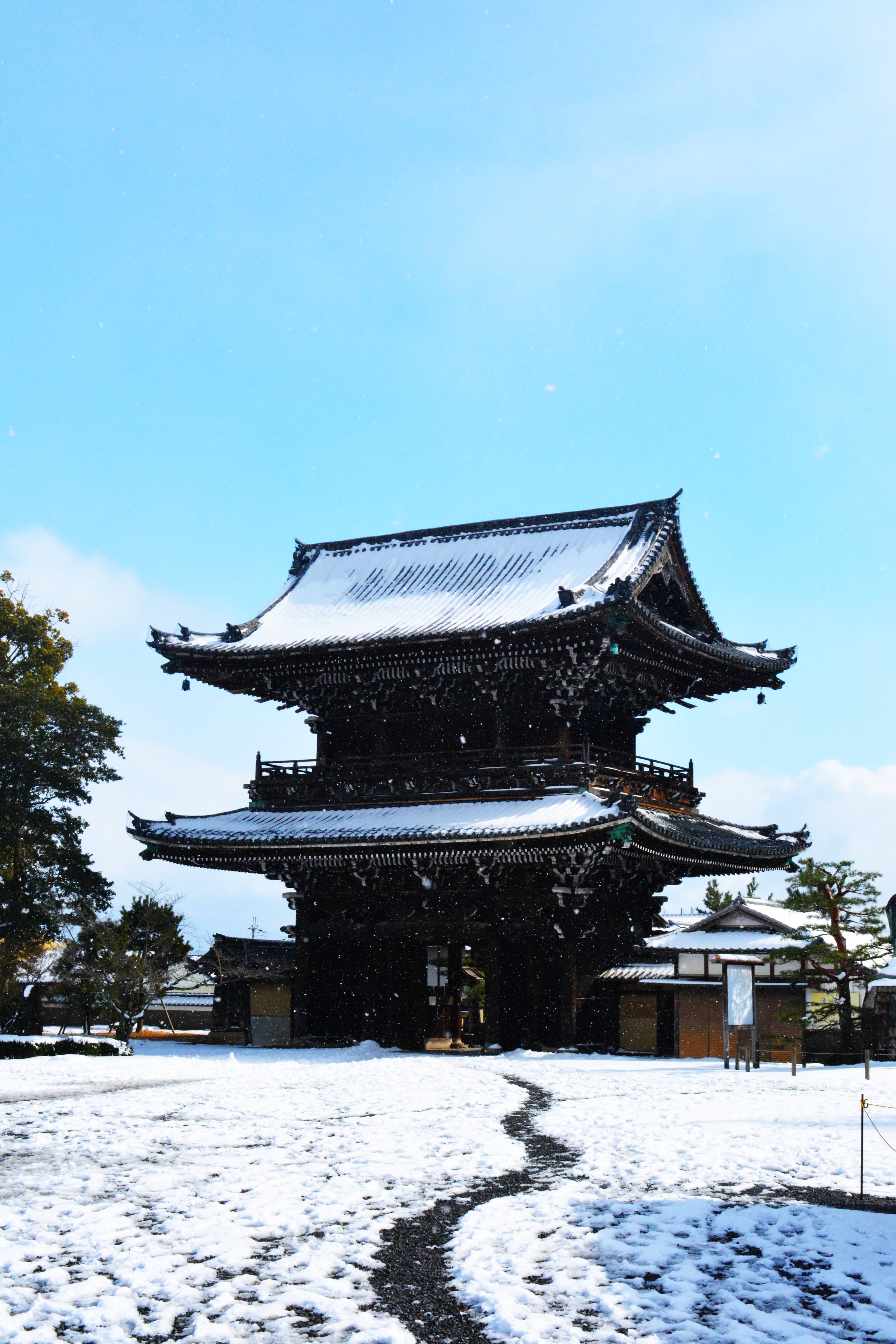 DSC_0275 bis