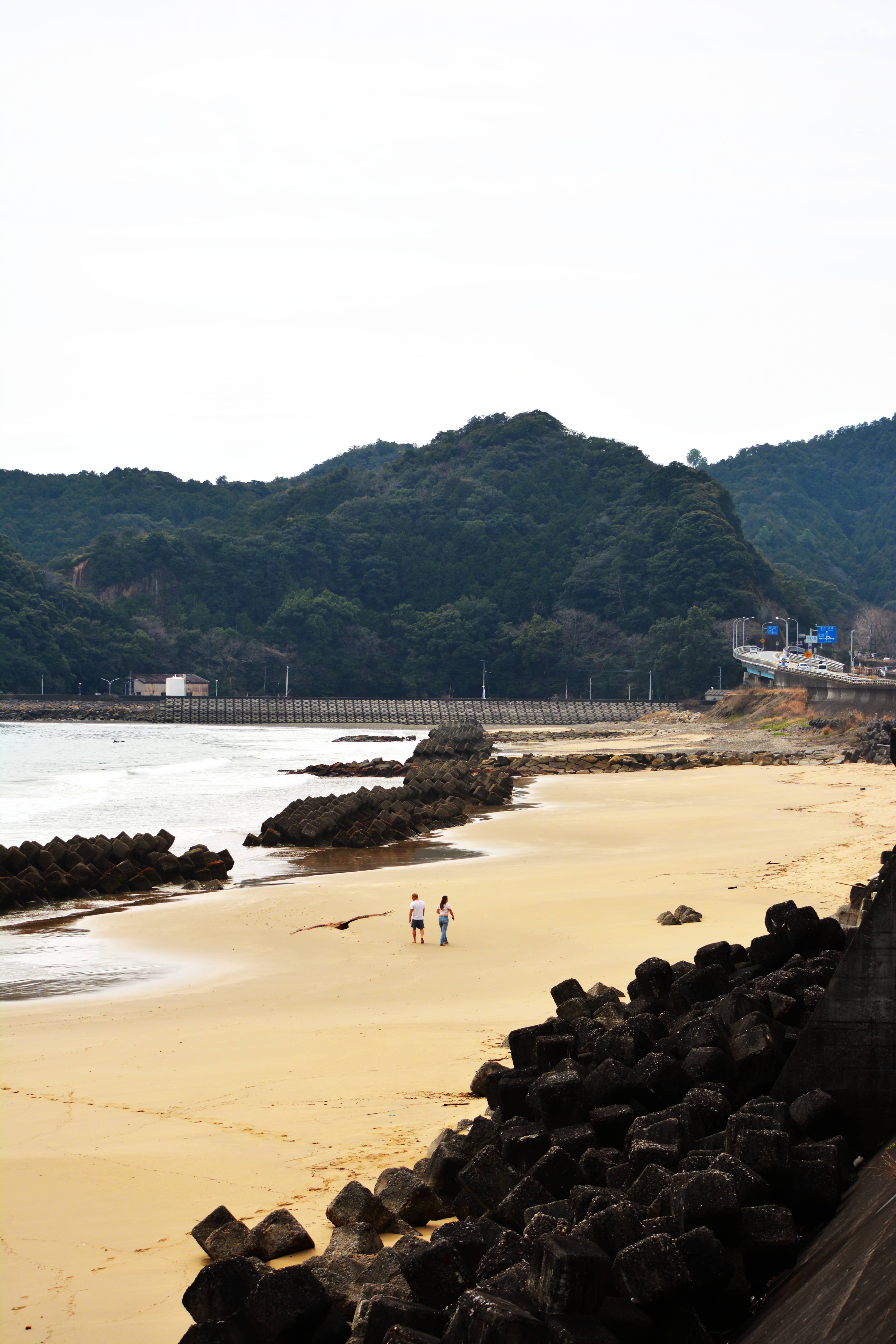 DSC_0327 bis