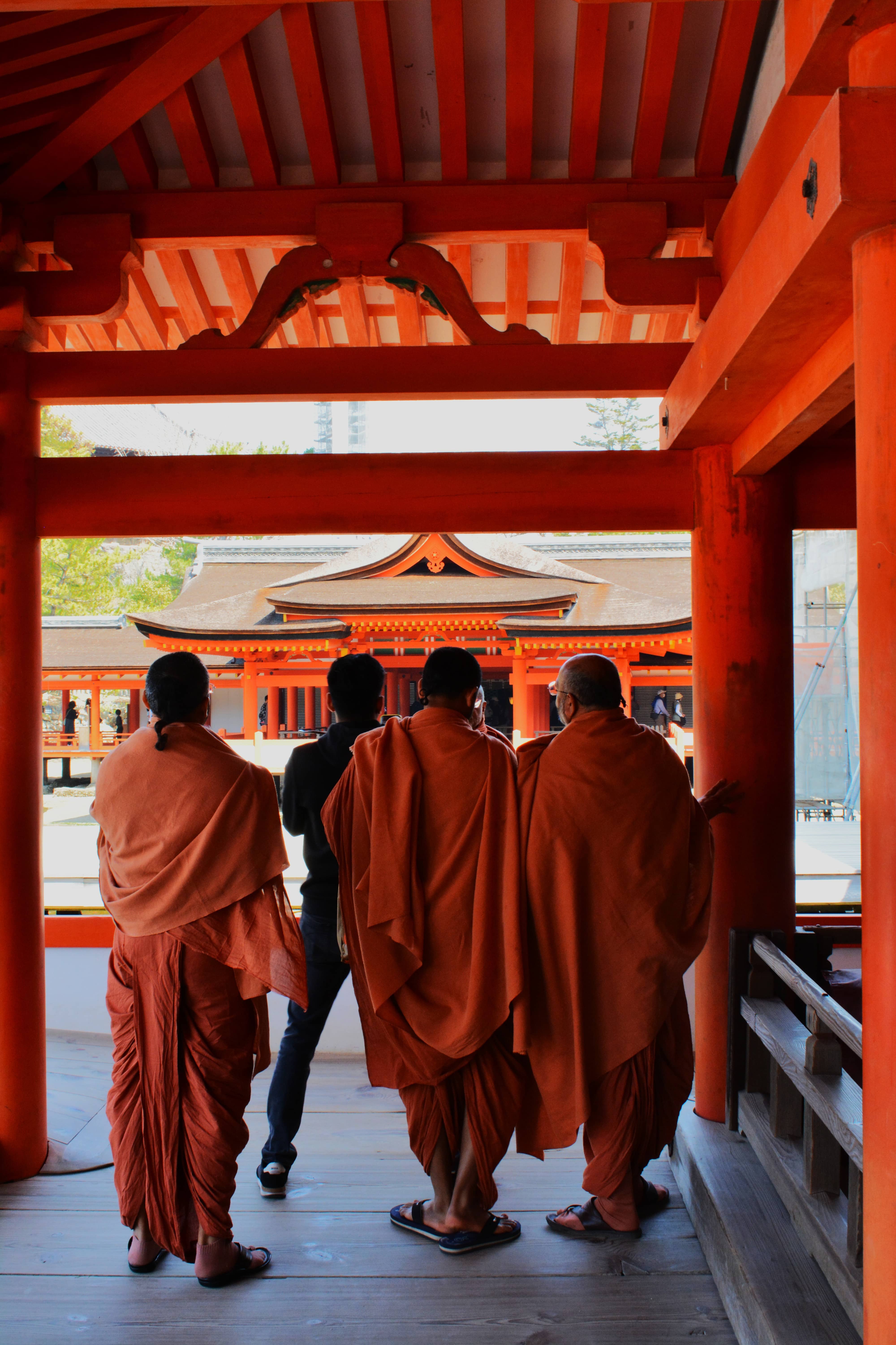 DSC_0490 bis