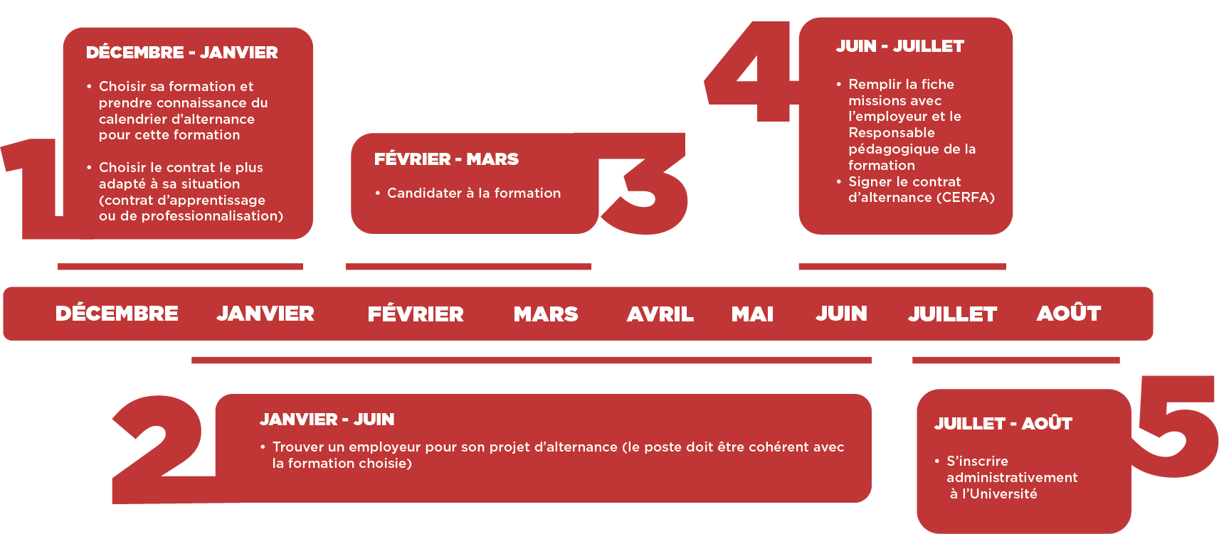 Frise chronologique étudiant