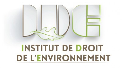 Logo IDE Lyon 3 