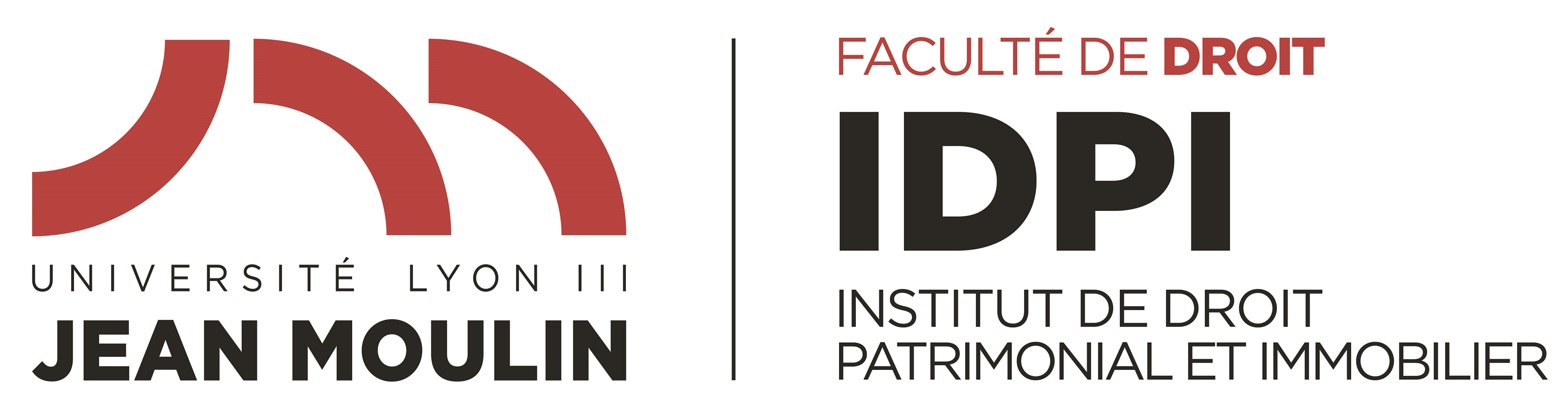 Logo IDPI