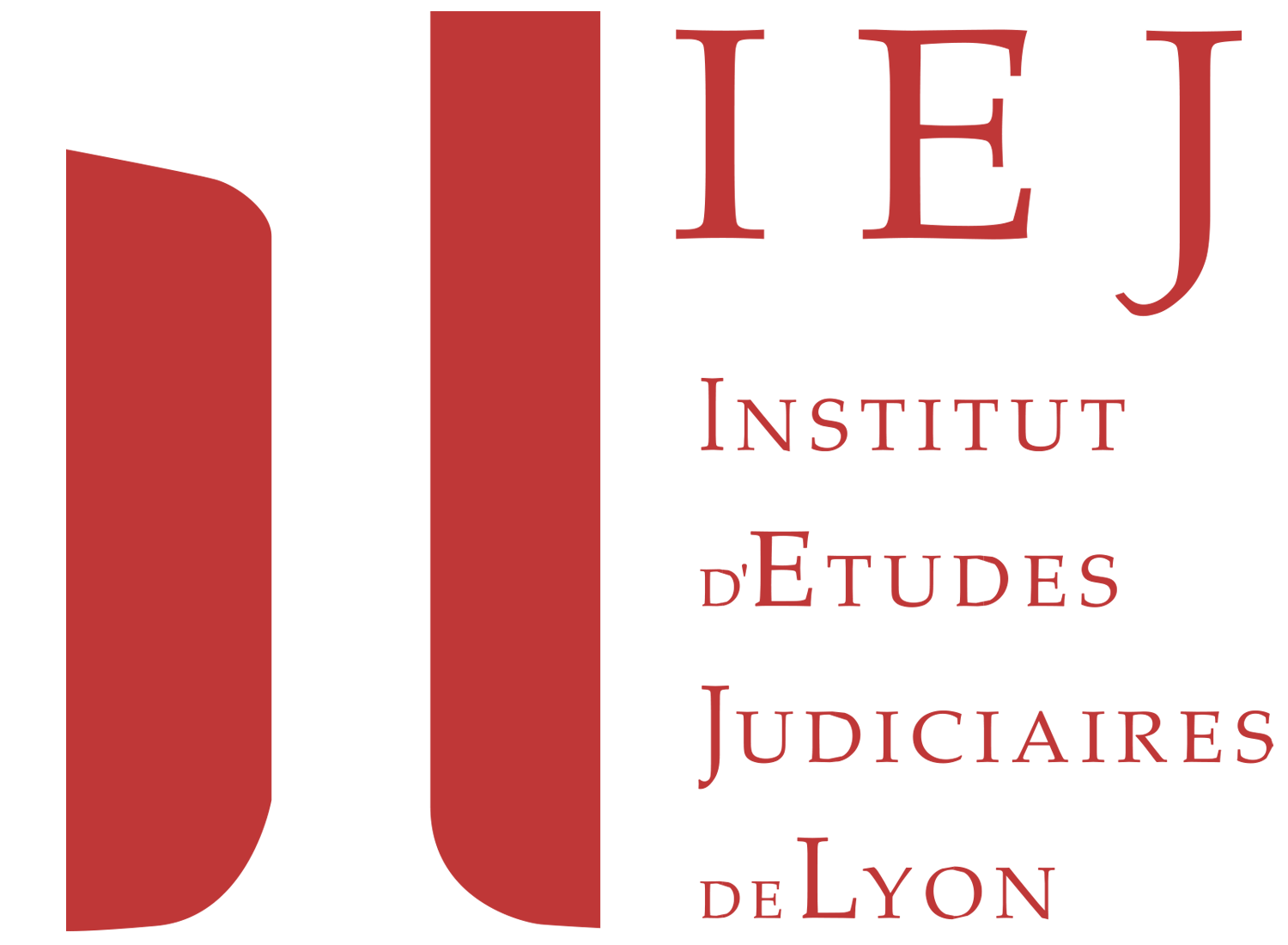 Logo IEJ