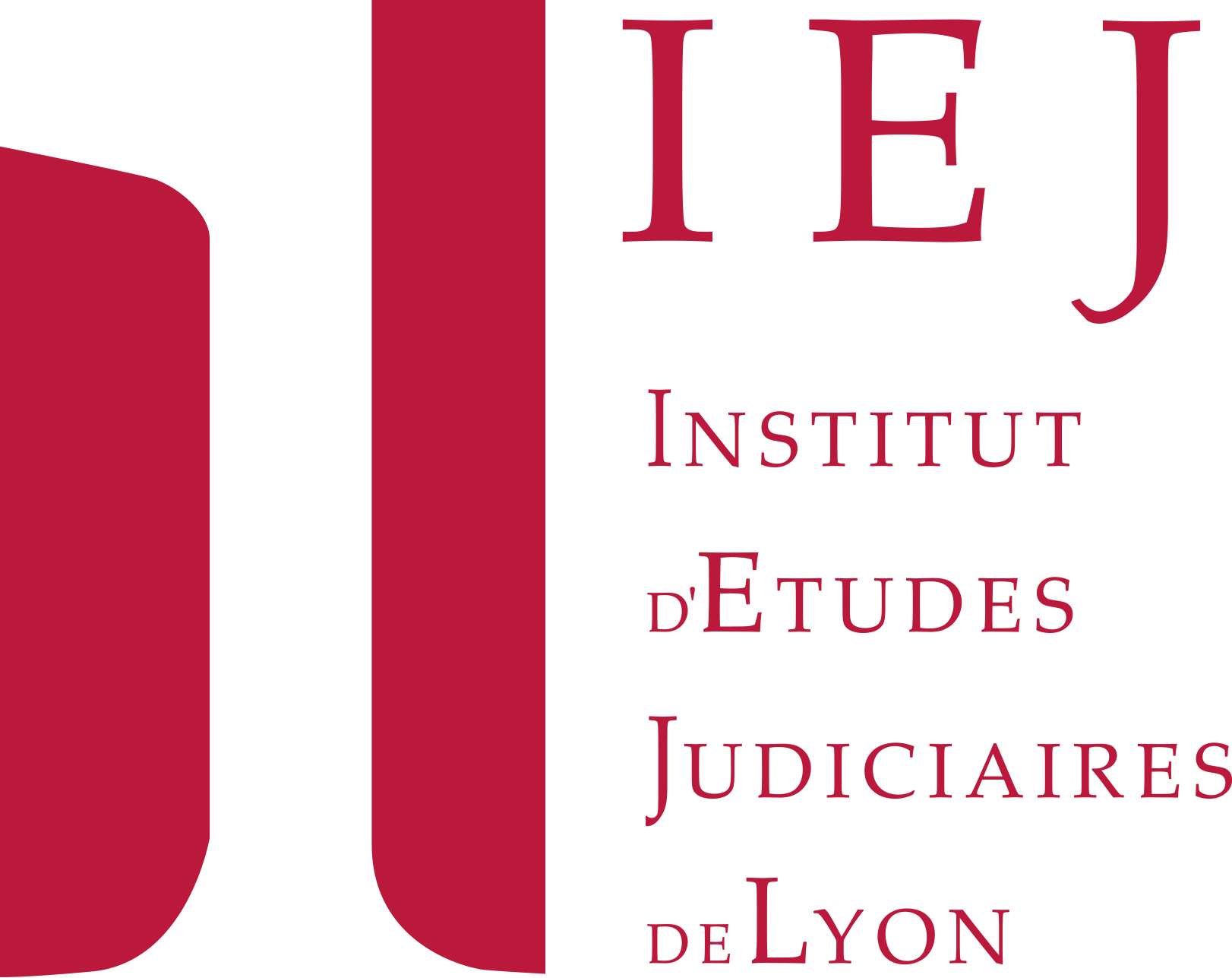 Logo IEJ