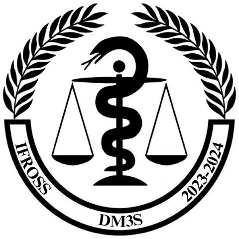 Logo Ifross DM3S