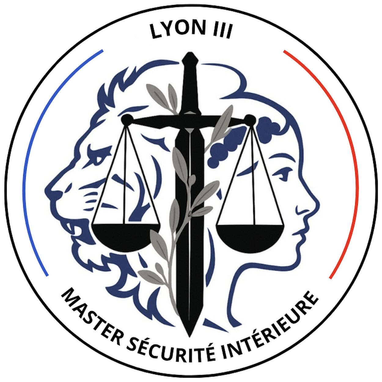 Logo Master Sécurité Intérieure de l’Université Lyon III