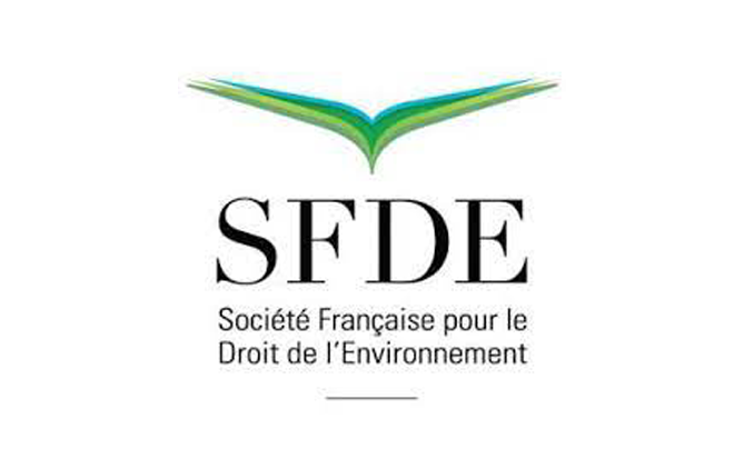 Logo SFDE