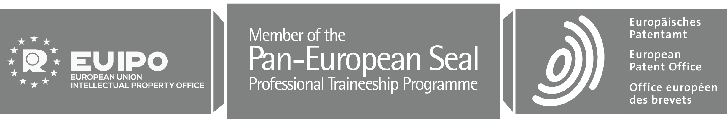 Logo programme paneuropean