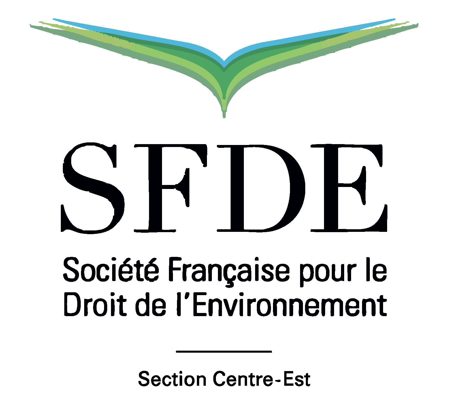 SFDE