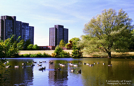 University of Essex