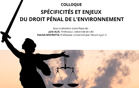 vignette droit environnement