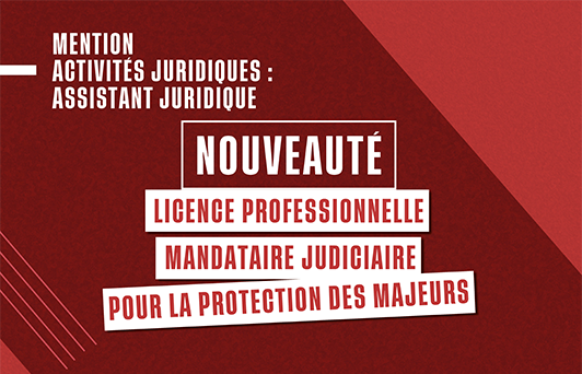 Vignette LP mandataire judiciaire