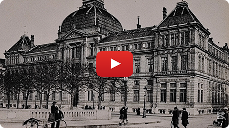 vignette video